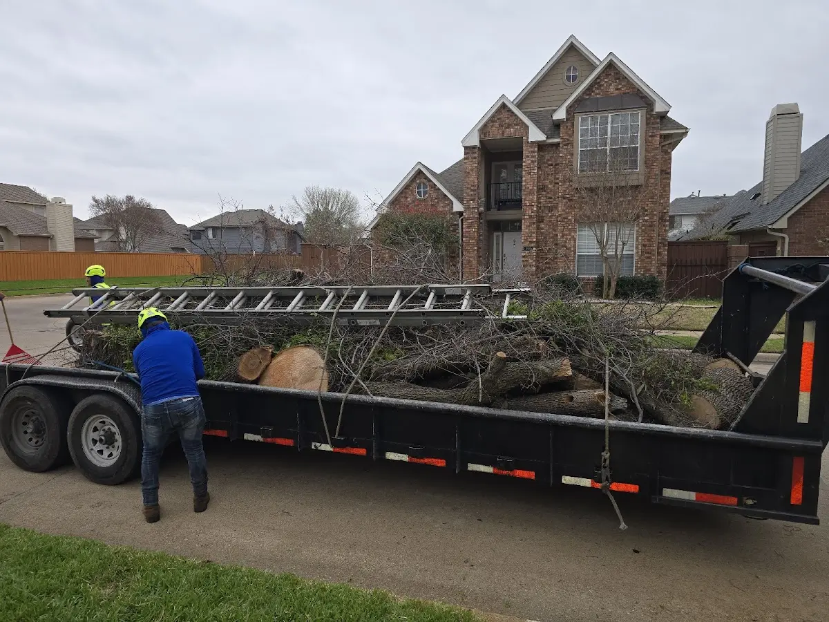 Expert Tree Fertilization with proper safety equipment in Perrysburg